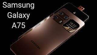 Samsung Galaxy A75 - First Look (Flagship Killer)