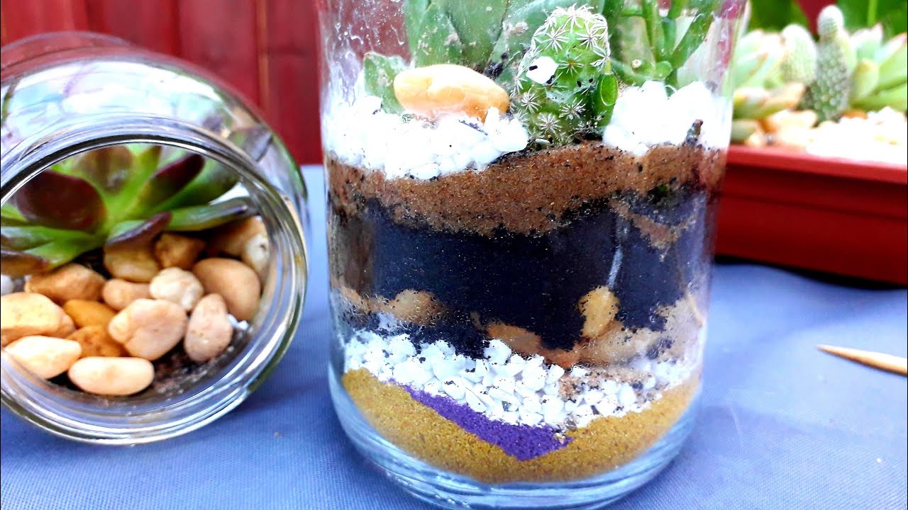 Reaproveitando VIDROS de conserva plantando SUCULENTAS❤