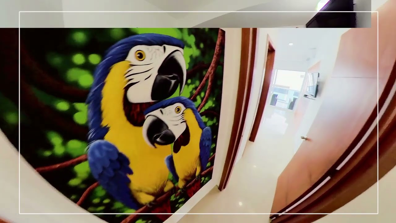 Penthouse 1704 Cartagena Video