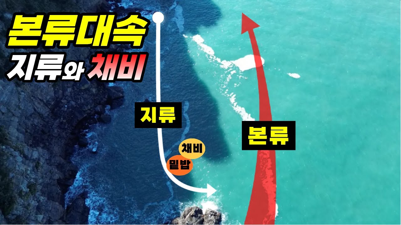 좋은 조류에서  50마리 잡았습니다 