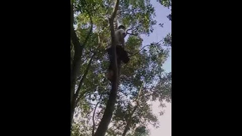 Khi FA đã quá giới hạn !!!