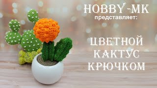 Цветной кактус крючком (авторский МК Светланы Кононенко)