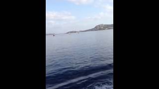 Palau