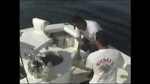 Marlin jumps in boat almost kills camera man in Cabo San Lucas