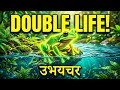 "Amphibians Life Cycle 🐸 | Egg to Frog in Seconds!” उभयचर का जीवन चक्र🧐🐸 #Amphibians #FrogLifeCycle