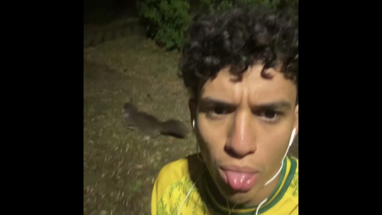 COMPLETE TRACK - elyasbitume93200