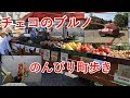 東欧旅7日目の1　ブルノをのんびり散歩（聖ヤコブ教会、シュピルベルク城）【無職旅】