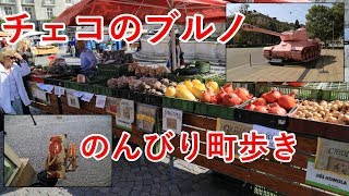 東欧旅7日目の1　ブルノをのんびり散歩（聖ヤコブ教会、シュピルベルク城）【無職旅】