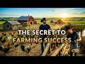 How We Run Our Farm | From Tiny Chicks to Massive Harvests