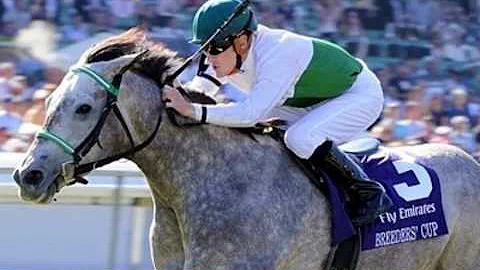 2008 Breeders' Cup Filly & Mare Turf - Horse Lovers