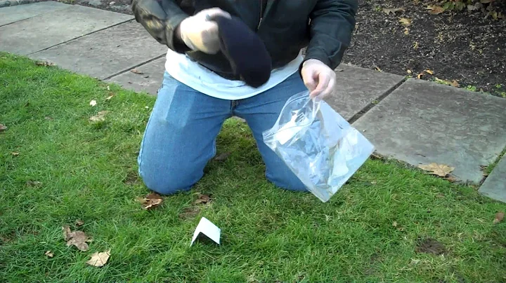 How to process a Crime Scene