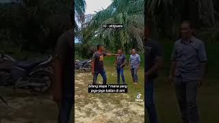 Download Lagu kasih dia parang 😆  #timur #orangtimur #preman MP3