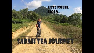 SABAH TEA JOURNEY OK