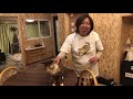 【ライブアーカイブ】スーパー猫の日！笑にゃんこスペシャル生配信！