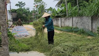 ÔNG BÀ , CÔ CHÚ ,ANH CHỊ ,AI CẦN MẬT ALÔ EM NHÉ, MÙA MÀNG VỀ HẾT LÚA ,LẠI ĐẾN RƠM MỆT BỞ HƠI