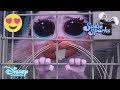 Sadie Sparks | SNEAK PEEK: Gilbert Looks After Lollipop 🍭 | Disney Channel UK