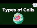 Types of Cells | Don't Memorise