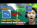 LOKASI DAN CARA DAPAT TULANG DI GAME MONSTER MUSEUM - Monster Museum Indonesia