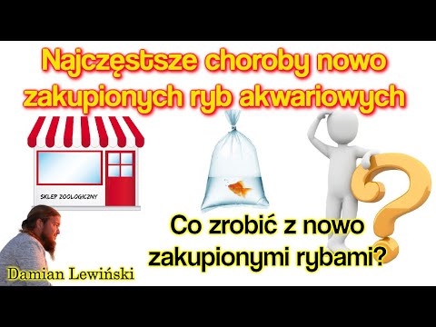 Wideo: Nowe prawo zapobiega estetycznemu obcięciu psów w Quebecu