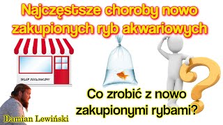 CHOROBY nowo zakupionych Ryb Akwariowych / Co zrobić z nowo zakupionymi rybami?