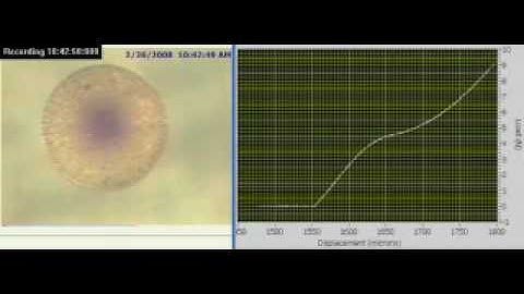 See the Force in Action