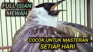KUTILANG GACOR FULL ISIAN MEWAH COCOK UNTUK MASTERAN KUTILANG SETIAP HARI