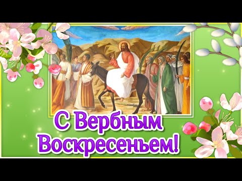 Вербное Воскресенье 2022🌸Поздравления с Вербным Воскресеньем! Праздник Вербное Воскресенье - Смотреть видео с Ютуба без ограничений