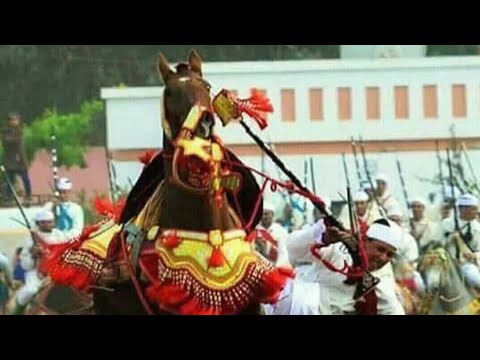 الحصان الهائج بموسم التبوريدة بالفقيه بن صالح...2018 camera iphone 8 plus apk