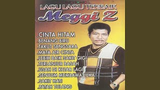 Video thumbnail of "Meggy Z - Lebih Baik Sakit Gigi"