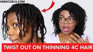 Twist Out on Thin 4c Natural Hair /  (Thinning 4C Natural Hair)