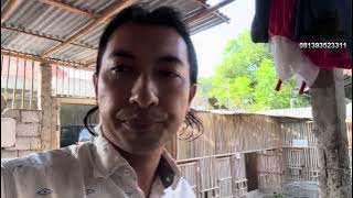 review amunisi Cinta Farm Alumni Big Game !!!