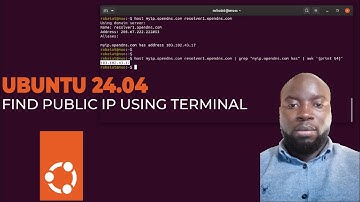 How to View Your Public IP Address with Ubuntu 24.04.1 LTS Linux Terminal | Quick and Easy Guide