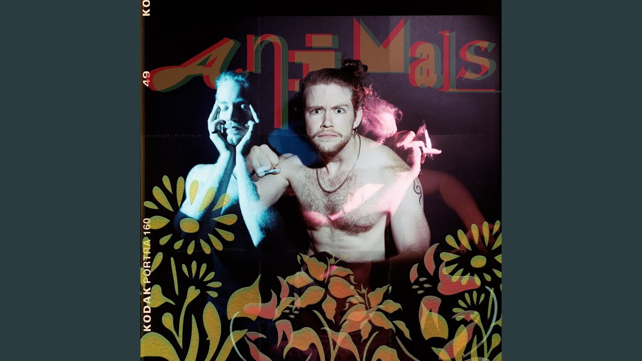 Assista a Animals no YouTube Assista a Animals no YouTube