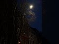 Snow Falling at Night ❄️ | Dark Ambient • Blade Runner Mood