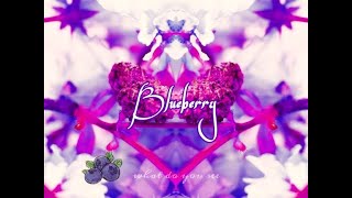 The 2BB Fast Review of Blueberry by Dog star Cannabis