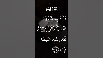 سورة مريم فأتت به قومها تحمله قالوا يامريم لقد جئت شيئا فريا الاية ٢٧