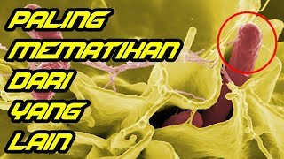 BERBAHAYA ! 10 Virus dan Bakteri Mematikan yang Pernah Dibuat Ilmuwan !