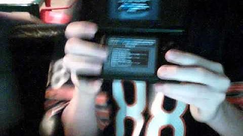 Action Replay DSi Bowser