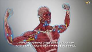 This is how VISIONBODY EMS SCIENCE works!
