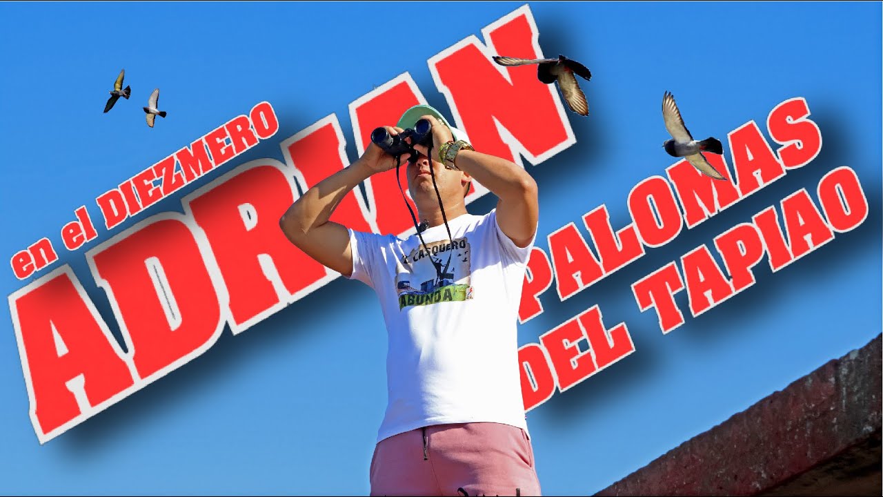 LAS PALOMAS DEL TAPIAO DE ADRIAN