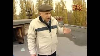 Палютин