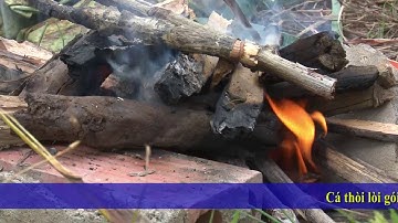 Cà Mau - Cá Thòi Lòi Nướng Lá Sen