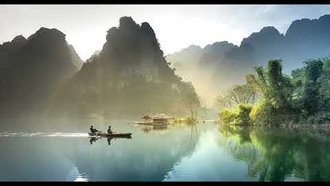 0004 Laravel 8 middleware auth