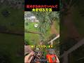 高すぎる木のてっぺんで木を切る方法