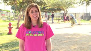 Houston Pets Alive