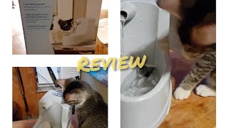 Review Drinkwell mini for kitty's
