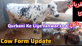 Qurbani Eid Animal video View animal