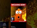 # funny short