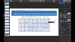 7-شرح عملي ومسالة Needle man and smith water-man (global and local alignment)algorithms and examples