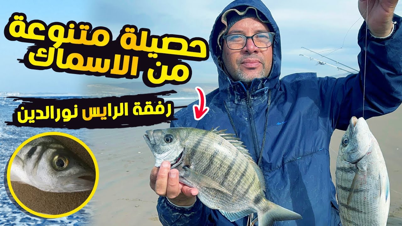 صيد سمك رفقة الأصدقاء مصيد شاطئ العائلة أكلو 